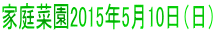 家庭菜園2015年5月10日（日）